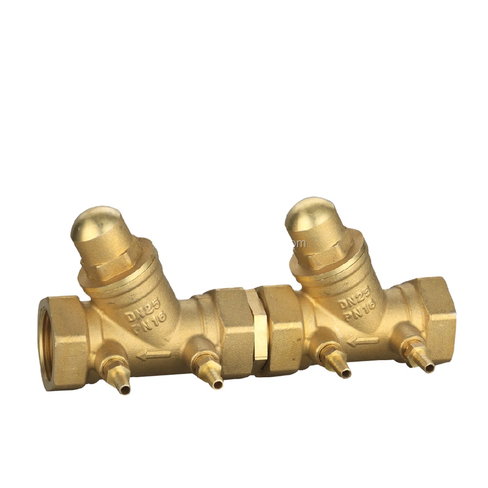 Double Check Valve Backflow Preventer