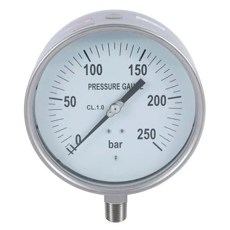 Tamper Resistant Gauges