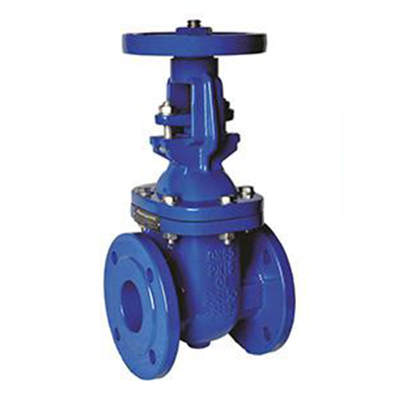 Cast Iron Gate Valve Rising Stem